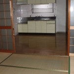 IMG_3748_560